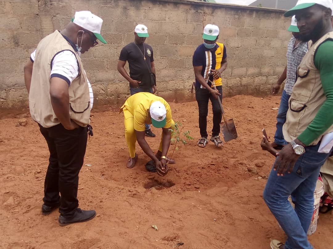 COMPSEI community engagement - tree planting activity